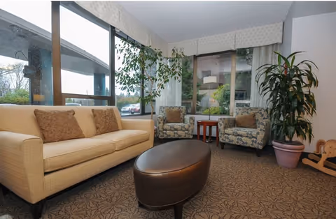 A cozy living room area with a beige sofa adorned with three brown cushions, two patterned armchairs with brown cushions, a dark brown oval ottoman in the center, a small wooden side table with a lamp, large windows showing an outdoor view, and a tall potted plant in the corner.