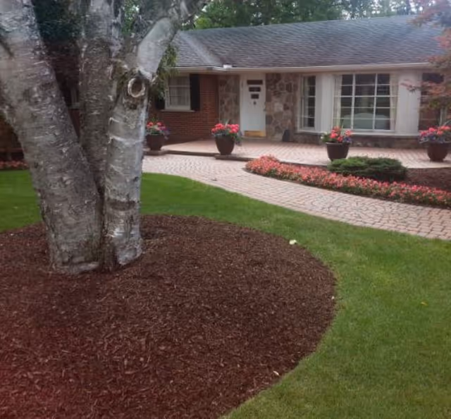 Front yard and entrance of a single-story brick and stone house with a paved walkway, potted flowers, and a mulched tree bed.