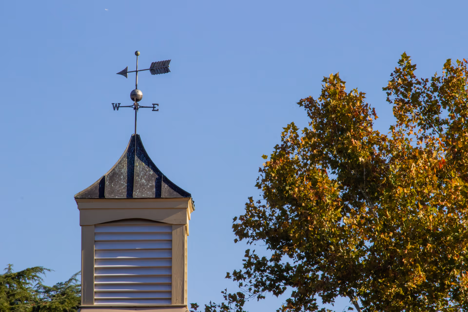 Cupola topped with a weather vane beside a tree with autumn leaves against a clear blue sky.