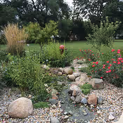 A landscaped outdoor garden area featuring a small rock-lined stream with surrounding greenery, bushes, and flowering plants, set against a backdrop of trees and a grassy lawn.