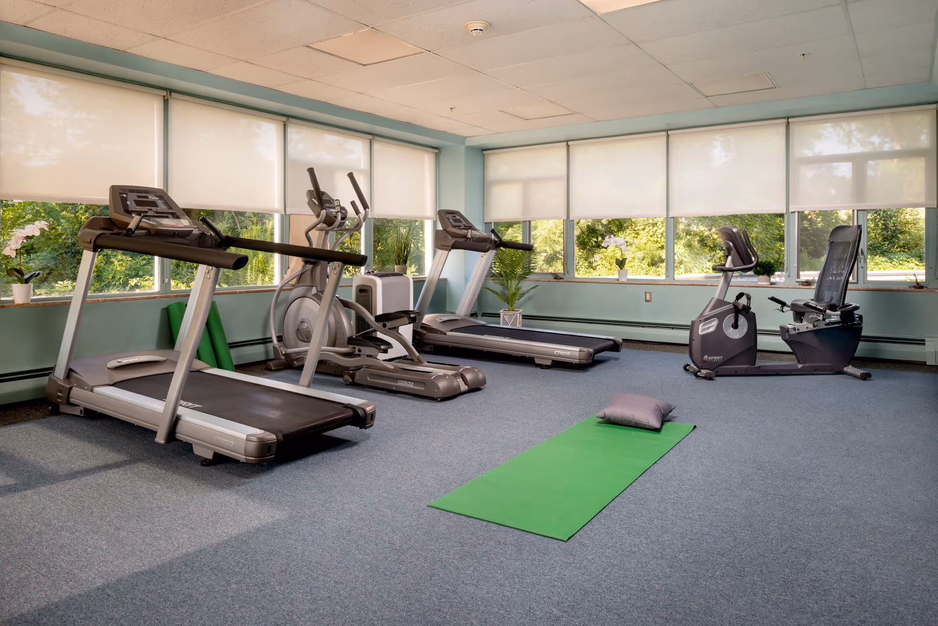 Bright exercise room with treadmills, ellipticals, a recumbent bike, and a green yoga mat in front of large windows.