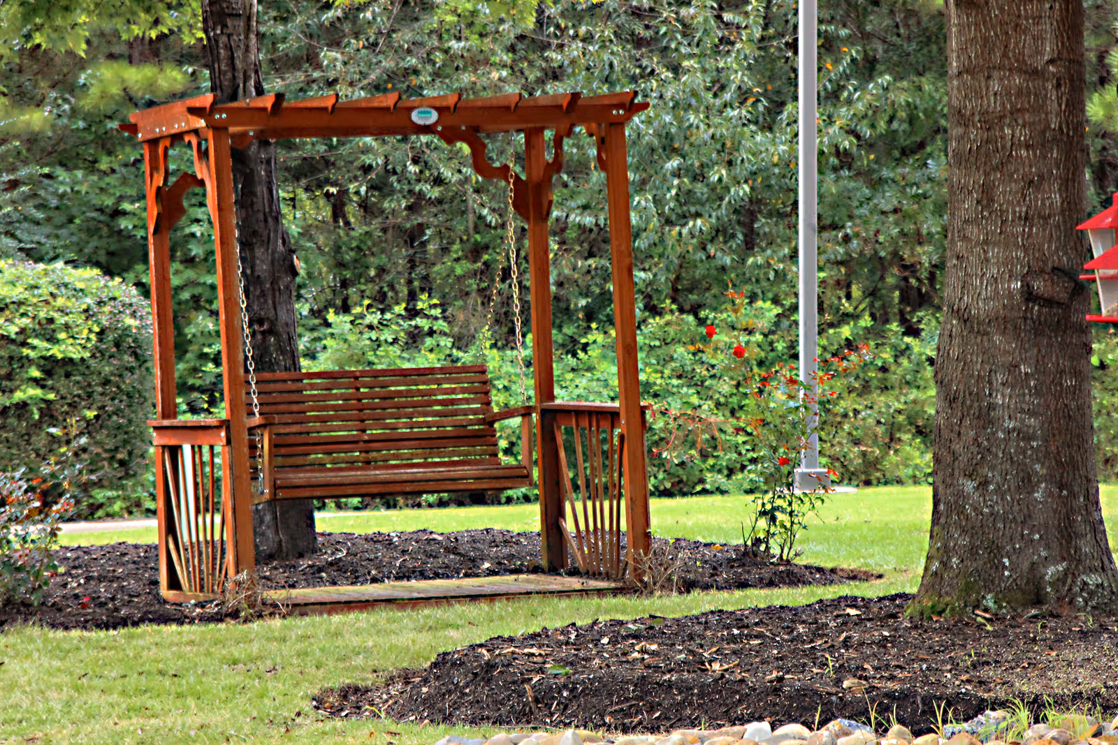 Wooden swing bench hanging from a small pergola in a landscaped grassy yard with trees and shrubs.