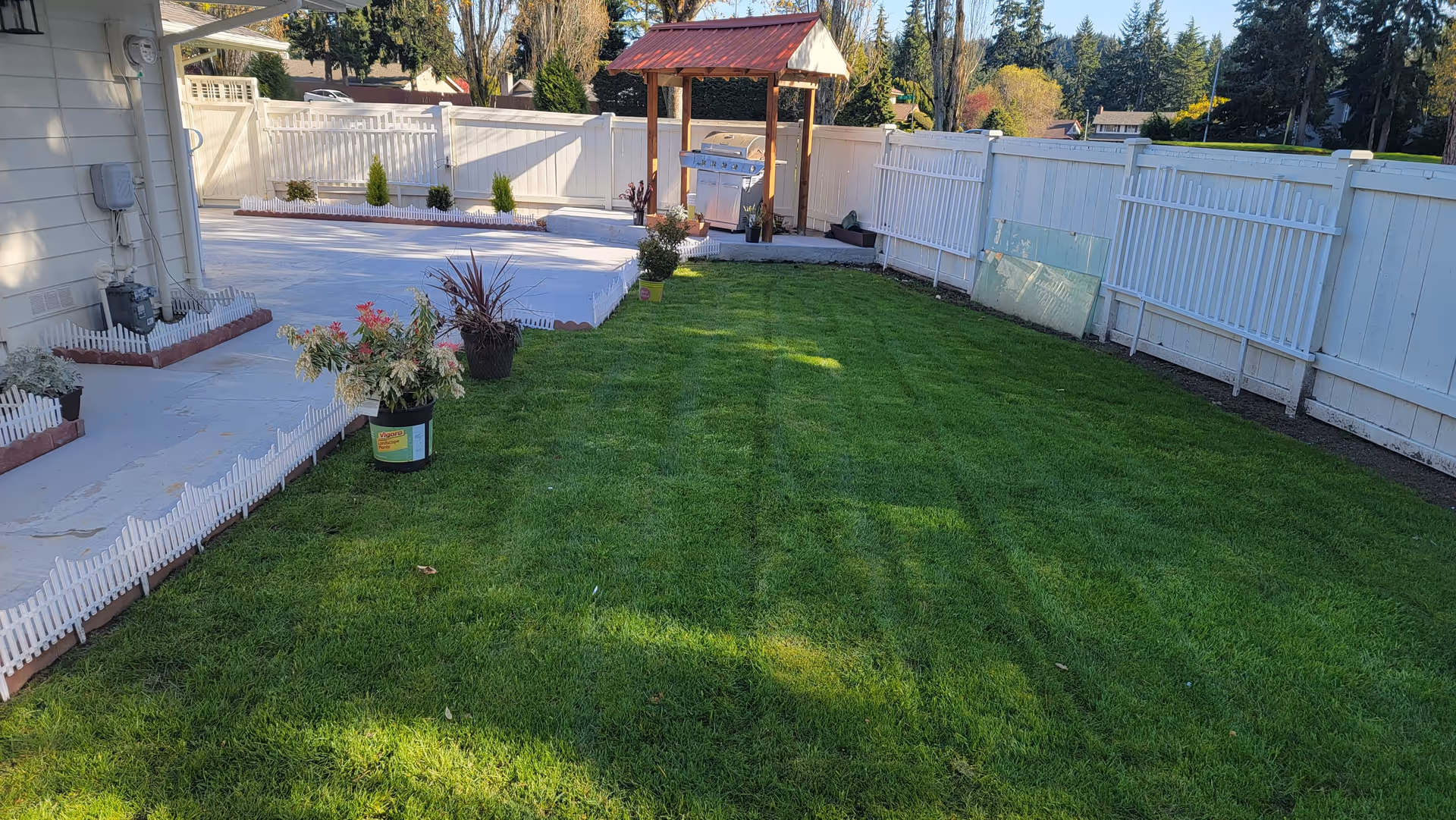Well-maintained backyard with green lawn, white fence, patio, potted plants and a small covered grilling area.