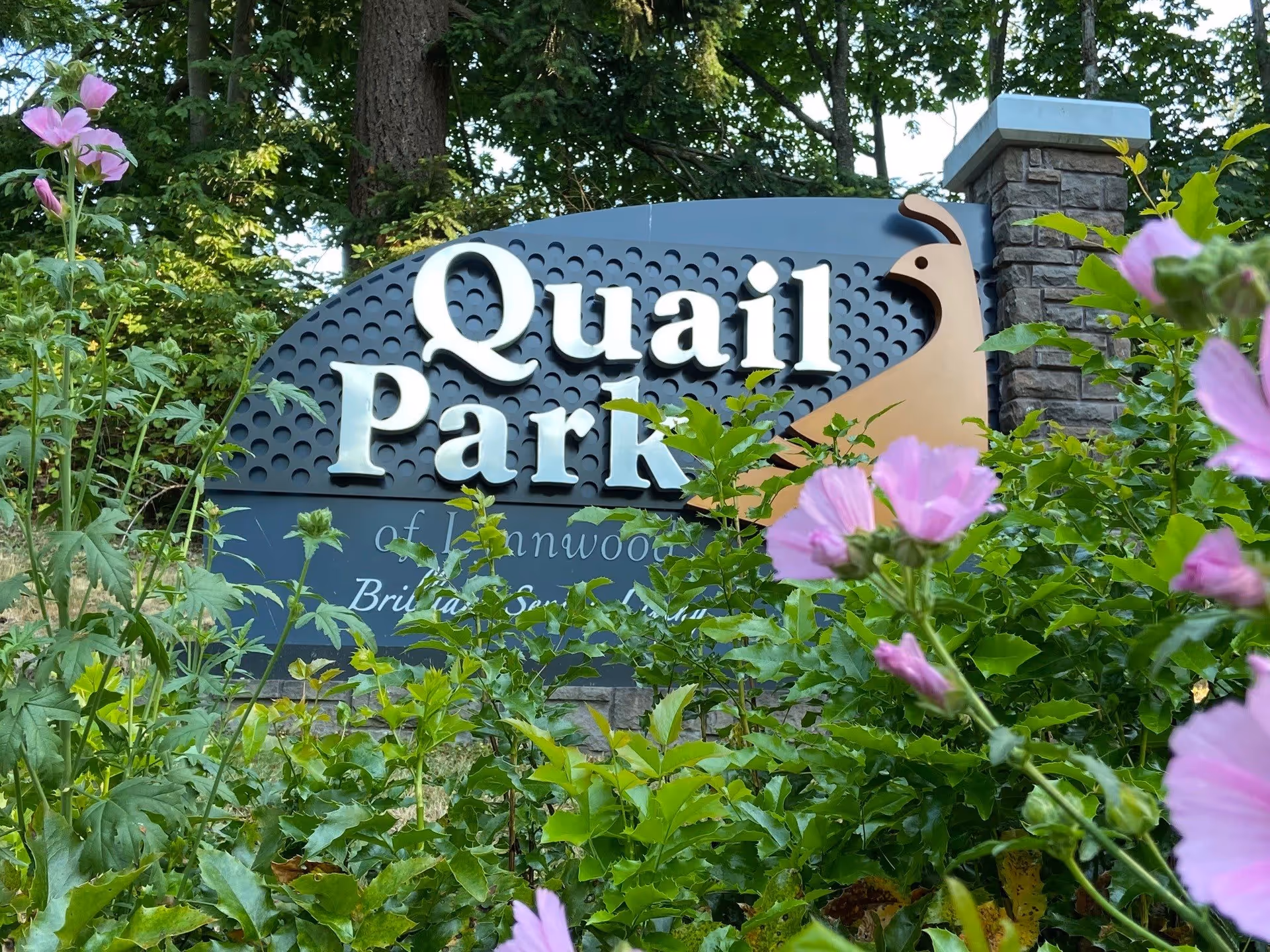 Photo 7 of Quail Park of Lynnwood