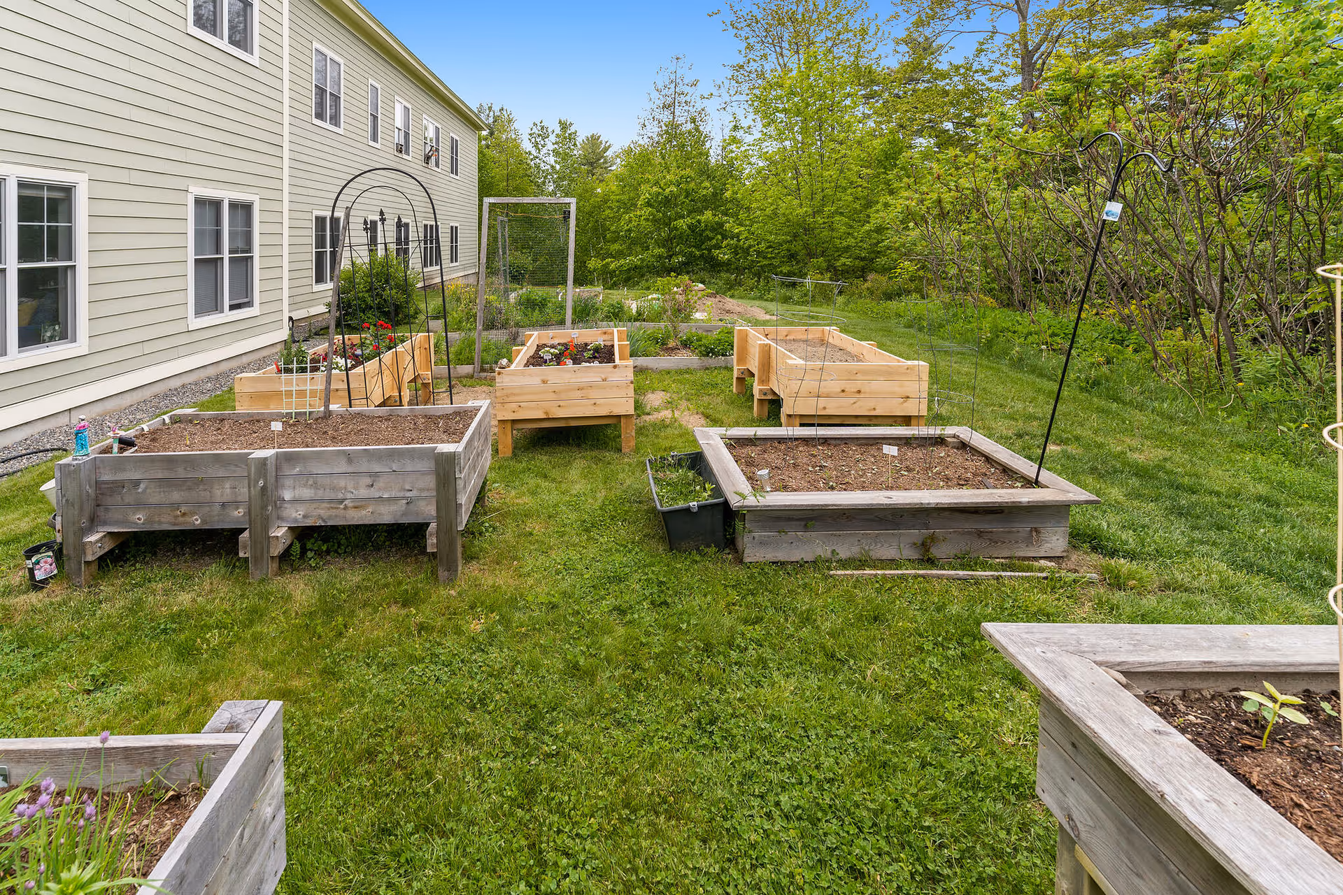 Outdoor garden area with multiple raised wooden garden beds containing soil and some plants, situated next to a light green building with several windows. The garden beds are arranged on a grassy lawn with trees and shrubs in the background under a blue sky with some clouds.