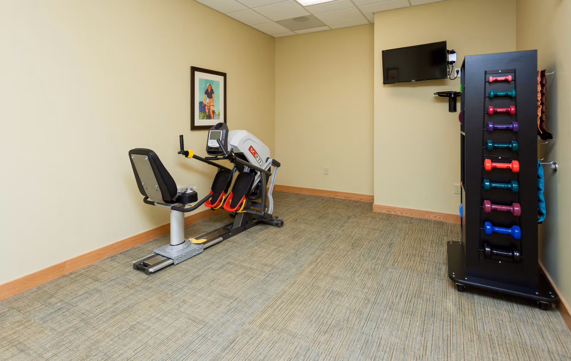 A small exercise room with a recumbent exercise bike, a rack of colorful dumbbells, a wall-mounted TV, and a framed picture of a person riding a bicycle on the wall.