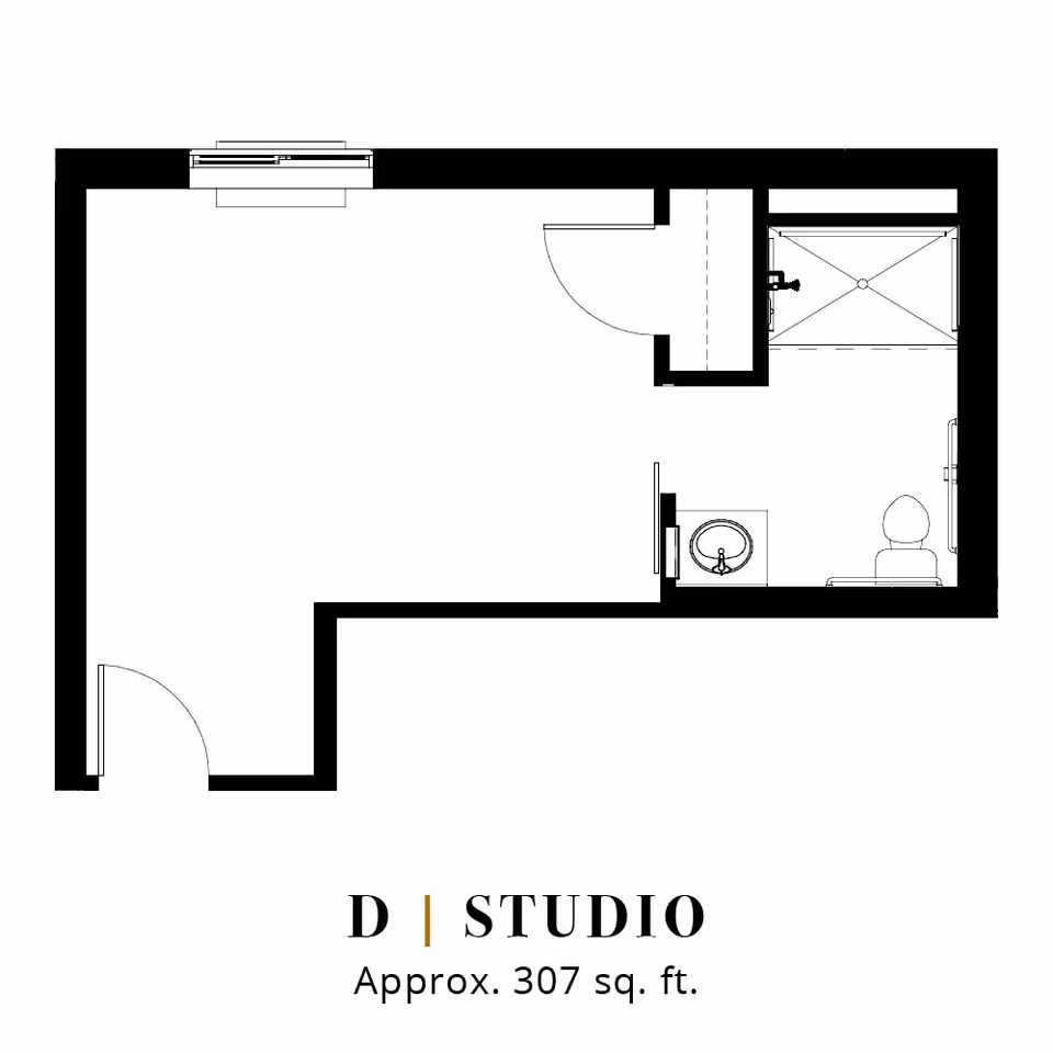 Architectural floor plan of a studio apartment approximately 307 square feet, showing a main living area, a bathroom with a shower, sink, and toilet, and entry doors.