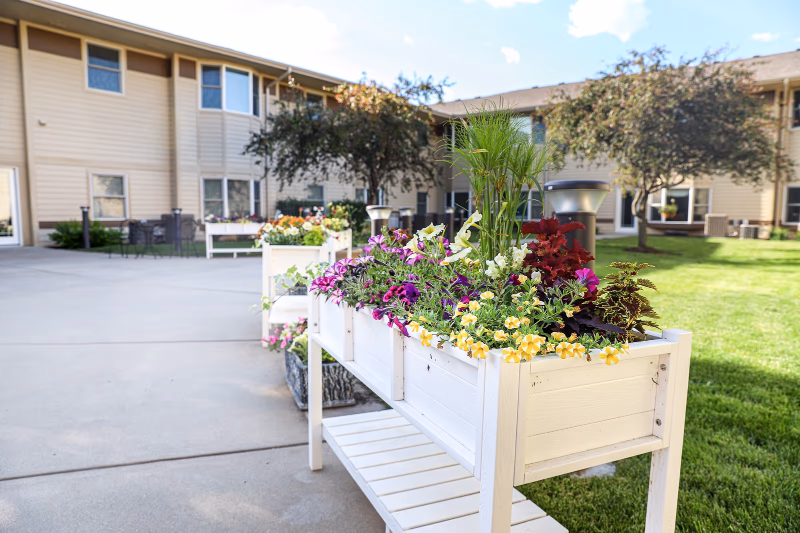 White wooden planter filled with colorful flowers in a sunny courtyard in front of an apartment-style building.