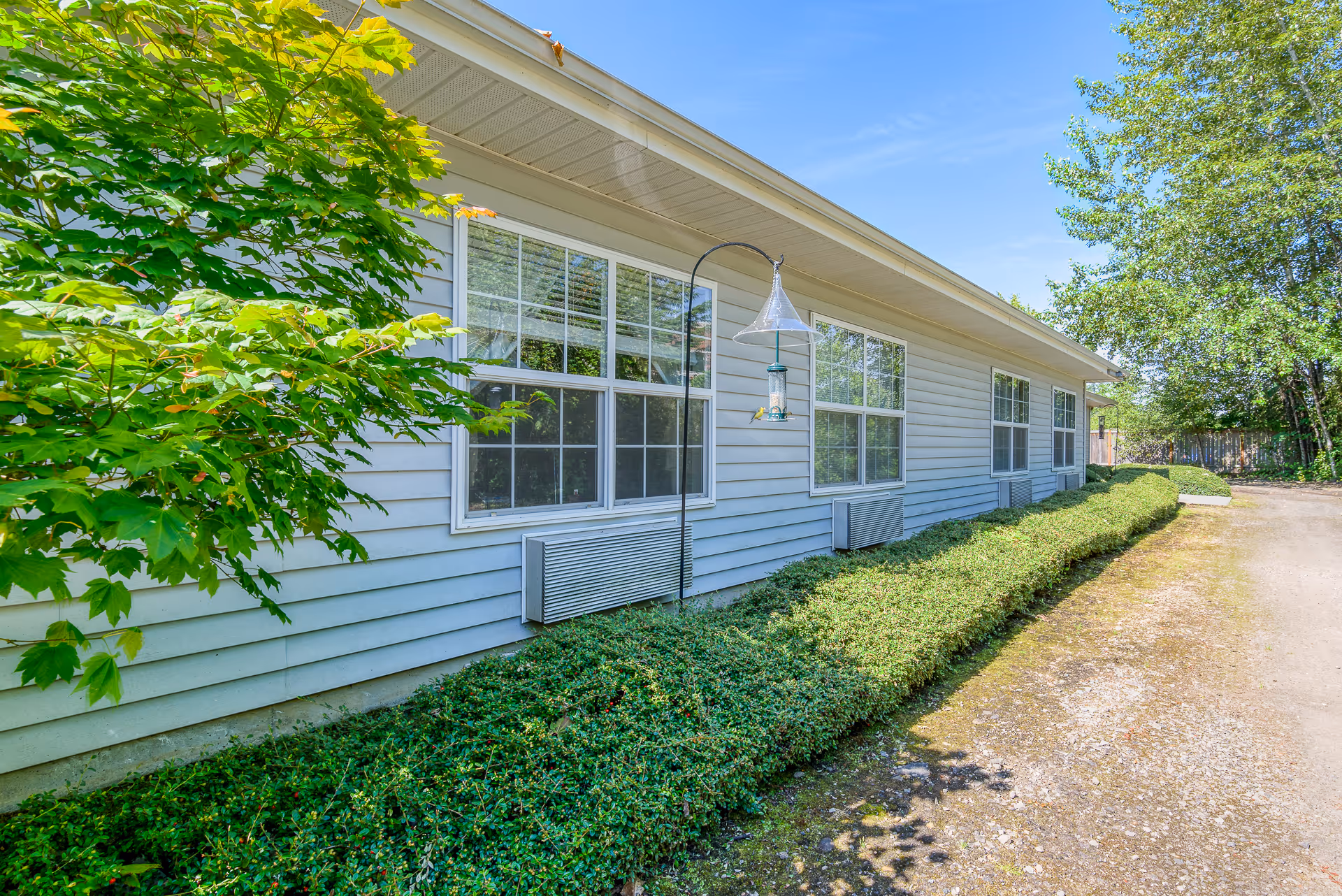 Exterior side view of a single-story building with white siding and multiple windows. There is a green hedge running along the base of the building and a bird feeder hanging from a pole near the windows. Trees and a dirt pathway are visible alongside the building under a clear blue sky.