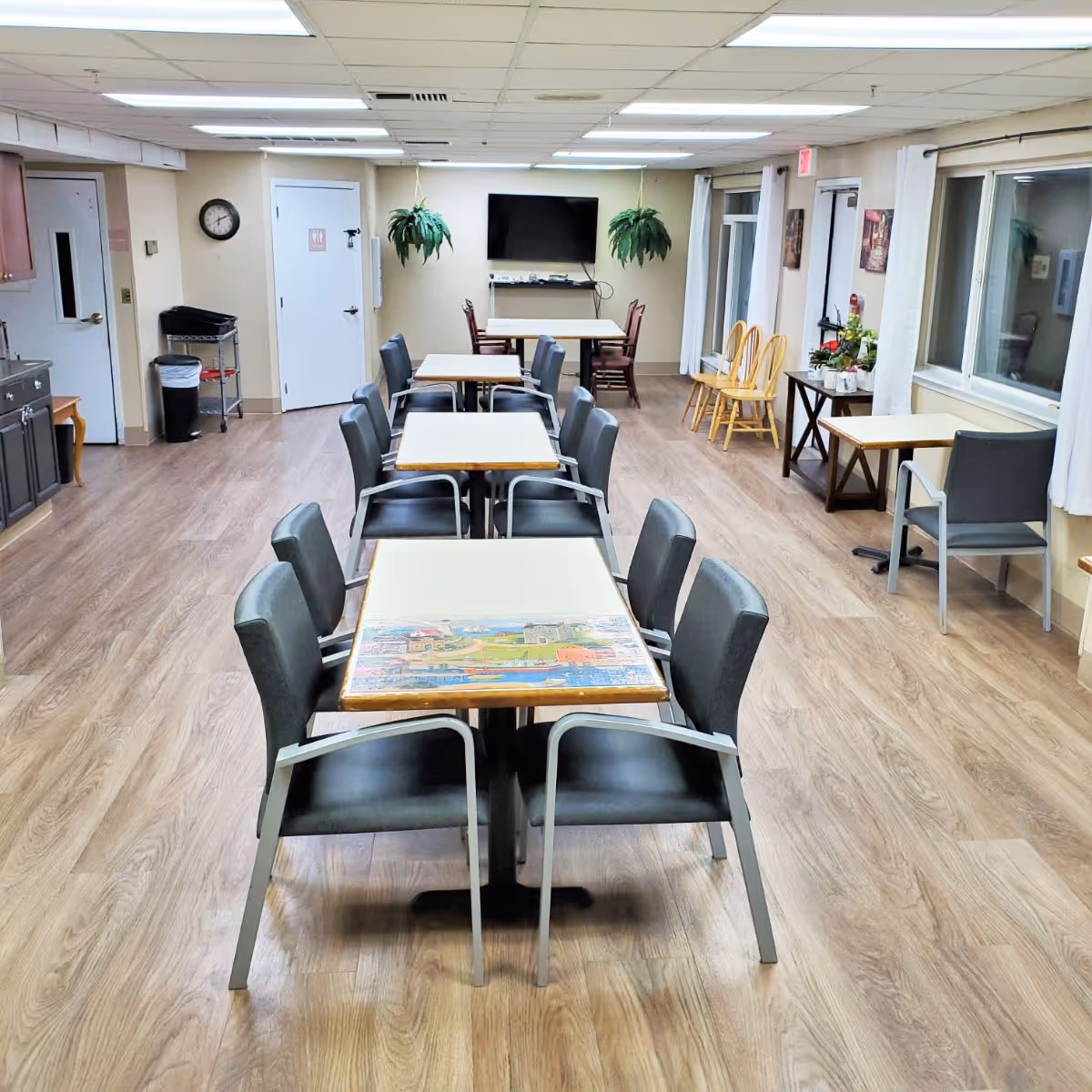 A clean and well-lit dining area with several tables and chairs arranged in rows. The room has wood flooring, a wall-mounted TV, two hanging plants, and windows with white curtains on the right side. There is a clock on the left wall and a small table with plants near the windows.
