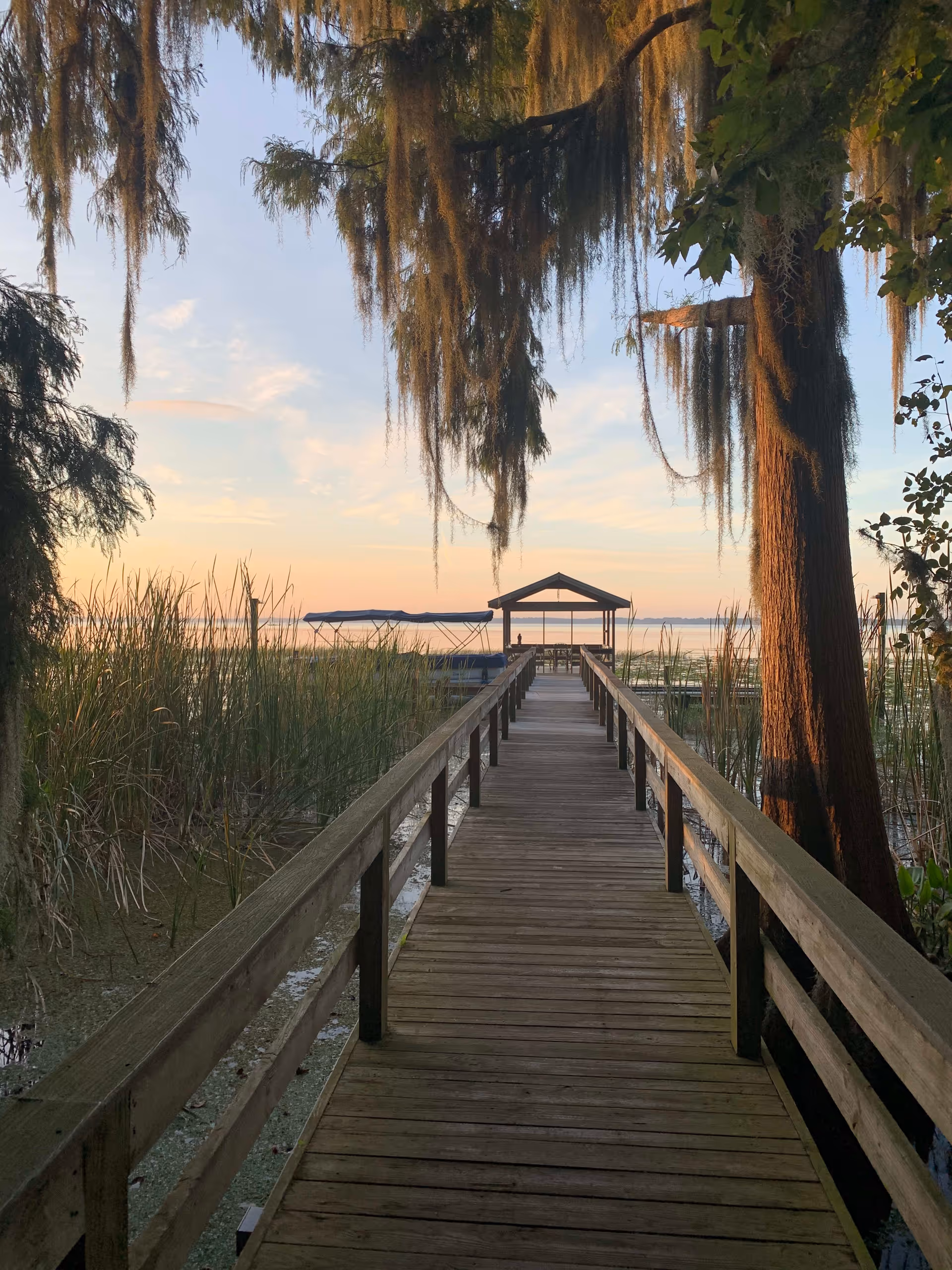 A wooden boardwalk leading through tall grasses and trees with hanging moss, extending out to a covered dock over a calm lake at sunset.