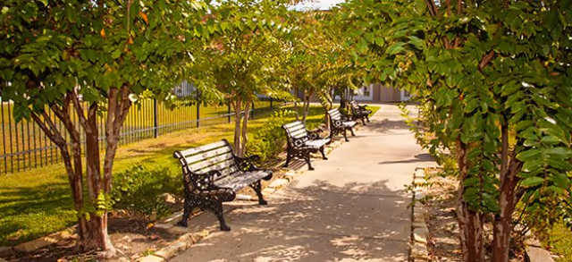 A paved outdoor walkway lined with black metal benches on one side and green trees on both sides, with a fence and grassy area visible in the background.