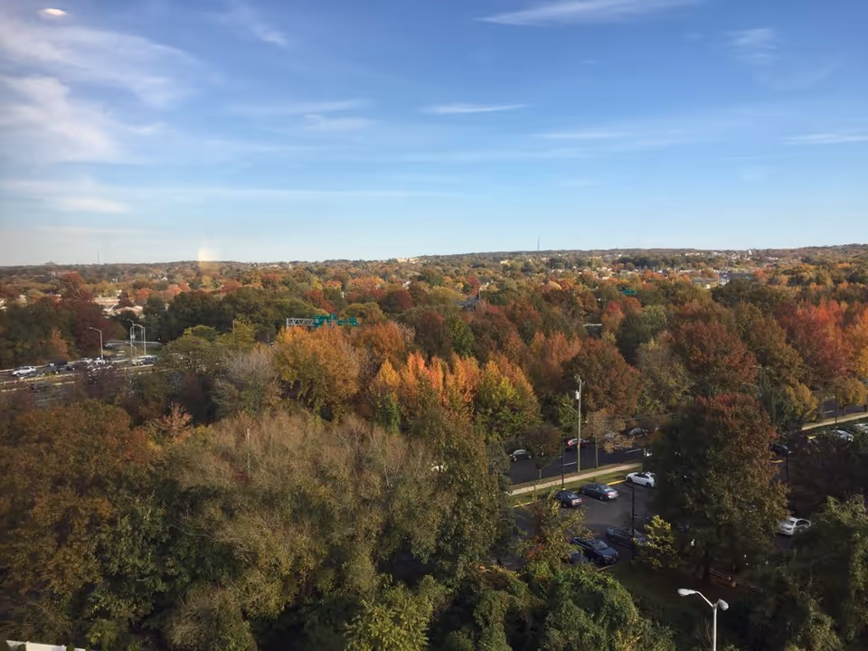 View from a high vantage point overlooking a vast area of trees with autumn foliage in various shades of green, orange, and red. A road with cars and streetlights runs through the scene, and a clear blue sky with some wispy clouds is visible above.