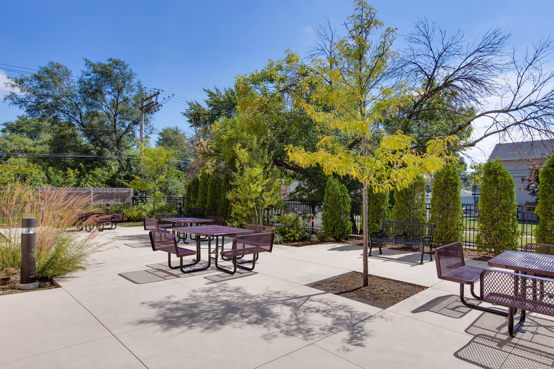 Outdoor patio area with several metal picnic tables and benches on a concrete surface, surrounded by trees and shrubs under a clear blue sky.