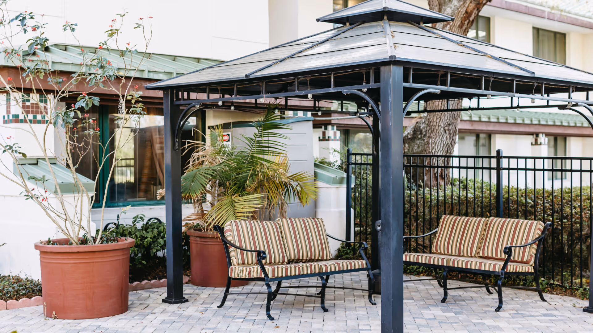 Outdoor seating area under a black metal gazebo with two striped cushioned benches on a paved patio. Large potted plants and a building with windows are visible in the background.