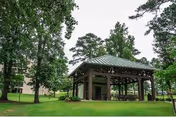 A wooden pavilion with a green metal roof on a lawn surrounded by large trees and a residential building in the background.