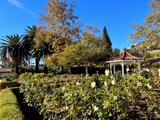 A sunny outdoor garden area with various flowering plants and bushes, a white gazebo with a red-tiled roof, tall palm trees, and other trees with autumn foliage under a clear blue sky.