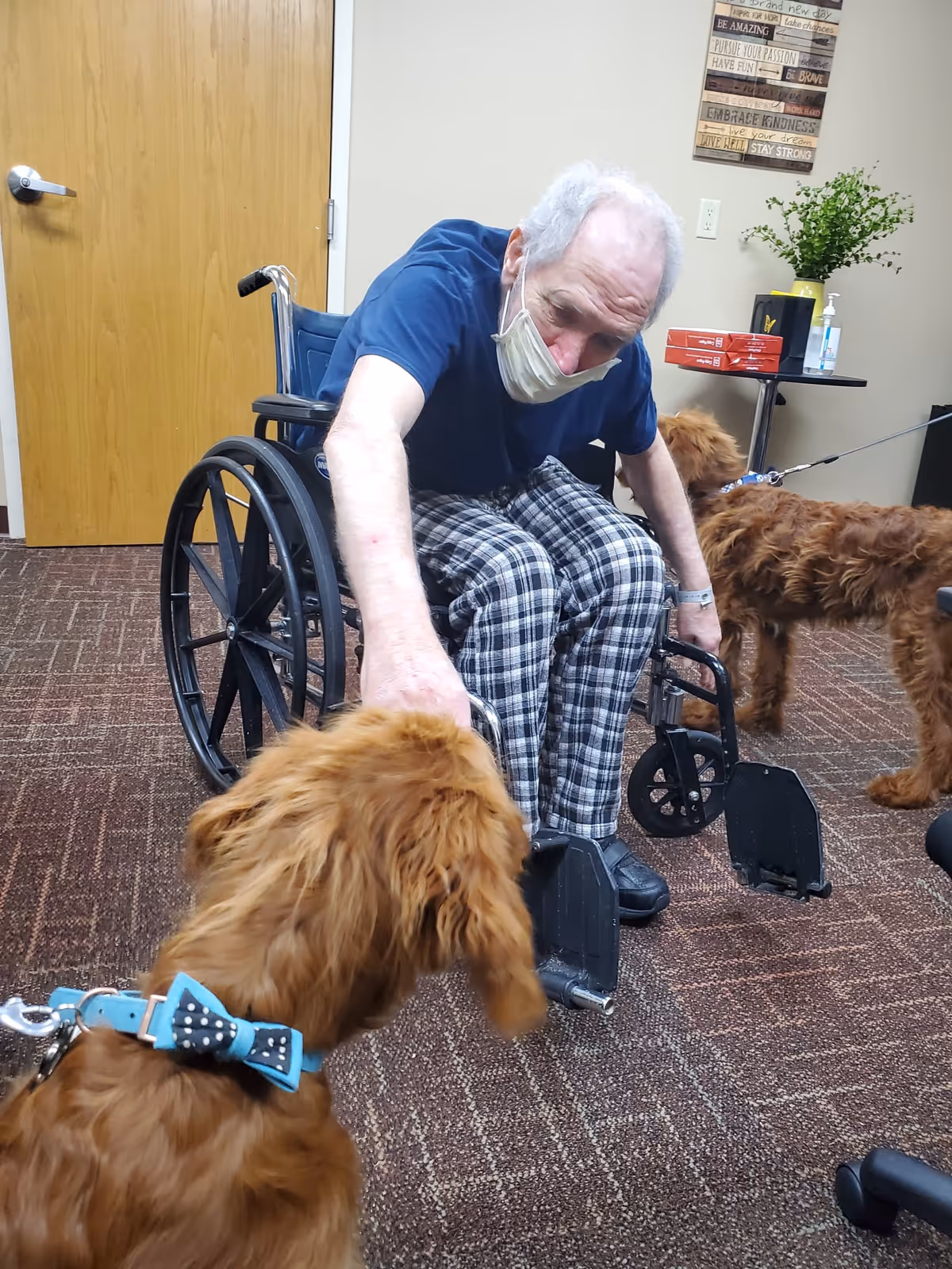 An elderly man wearing a face mask and plaid pants sits in a wheelchair indoors, reaching out to pet a brown dog with a blue collar and bow tie. Another similar brown dog on a leash is visible in the background. The room has a closed wooden door, a small table with a plant, hand sanitizer, and some boxes, and a motivational wall sign.
