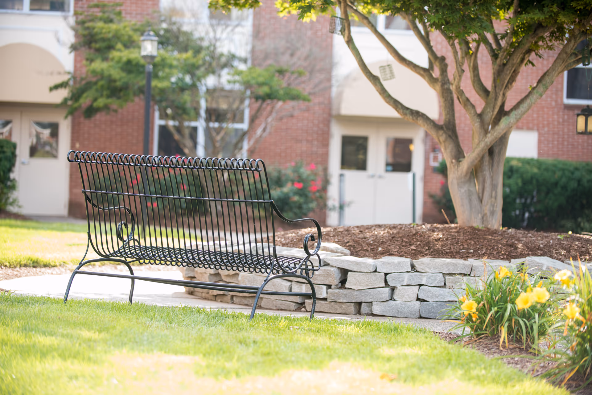 A black metal bench on a grassy lawn in front of a raised flower bed made of stacked stones with yellow flowers and a tree. In the background, there is a brick building with windows and doors.