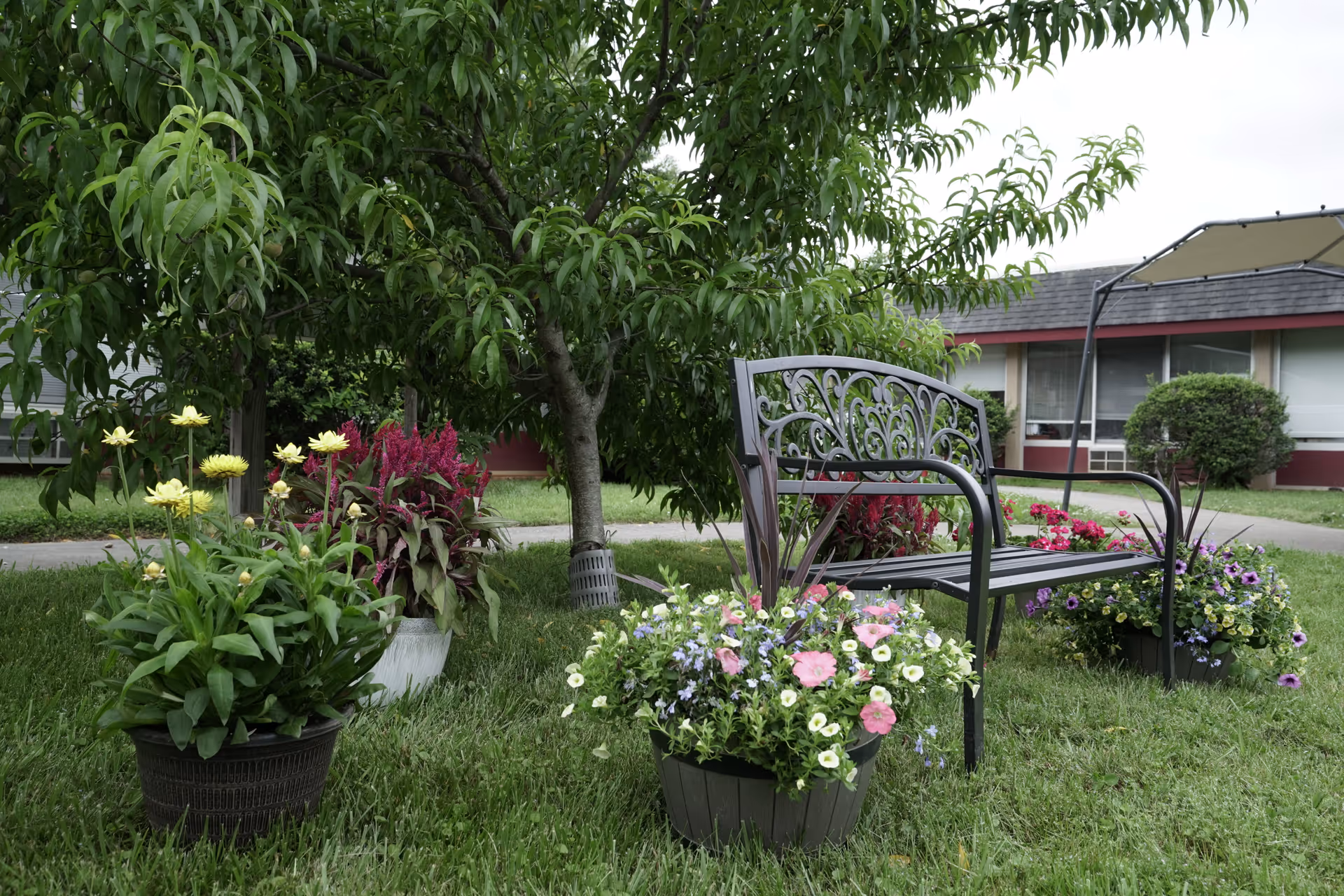 A peaceful outdoor garden area at Jefferson City Health & Rehabilitation Center featuring a decorative metal bench surrounded by colorful flower pots and a tree providing shade. In the background, there is a building with windows and bushes.