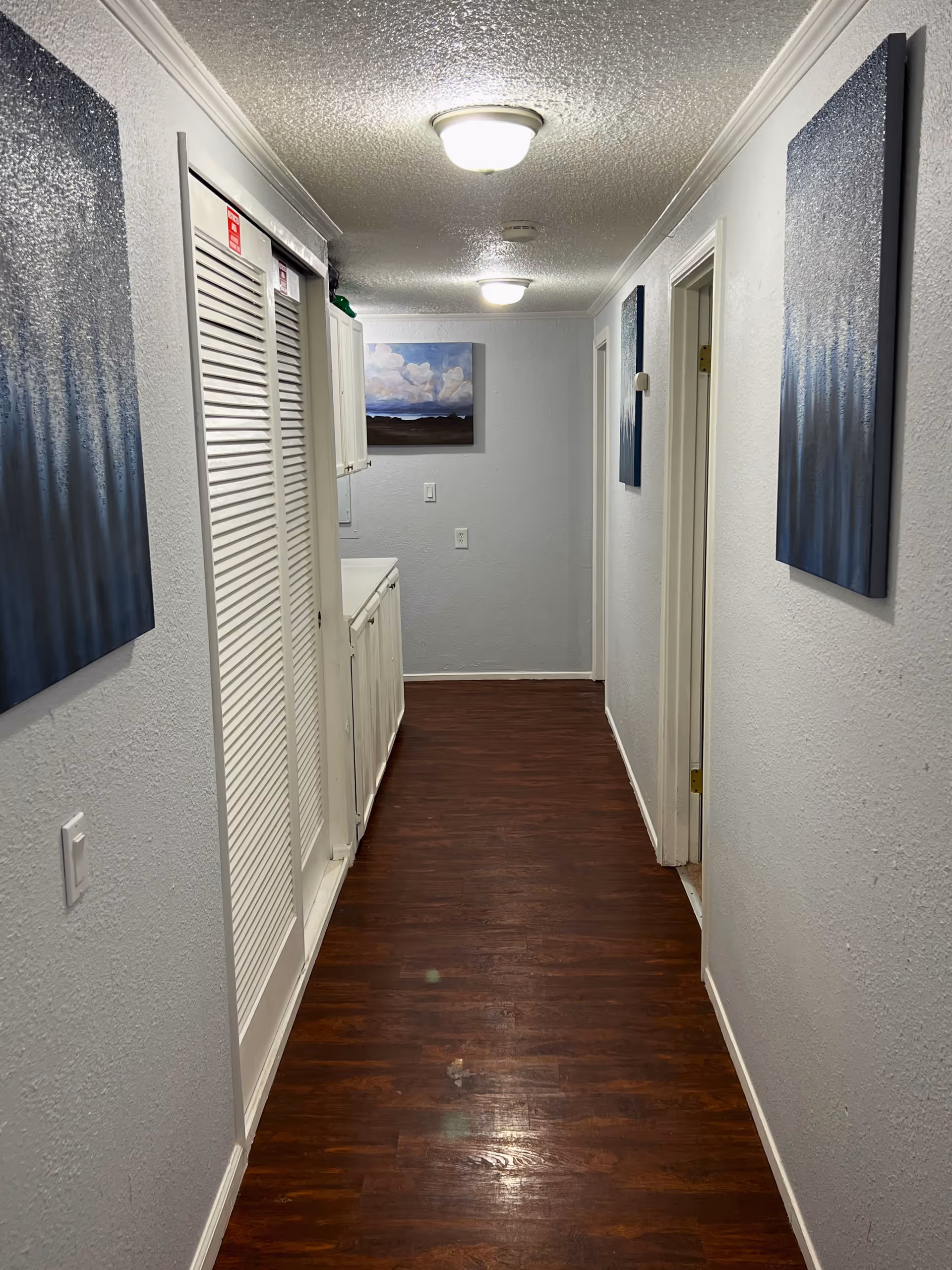 Narrow interior hallway with wood floors, ceiling lights, wall art, and a closet and cabinets along the left.