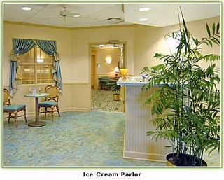 Bright ice cream parlor interior with small tables and chairs, a service counter, and a large potted plant.