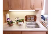 A small kitchen countertop with a stainless steel sink, wooden cabinets above, and decorative items including potted plants and a tray. Part of a floral upholstered chair is visible to the right.