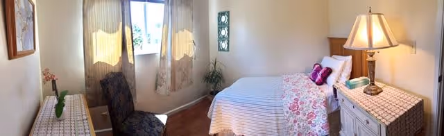 A cozy bedroom with a single bed covered in a striped and floral bedspread, two purple accent pillows, a bedside table with a lamp and a box of tissues, a chair near a window with sheer curtains, a small plant in the corner, and a dresser with a vase and flowers.