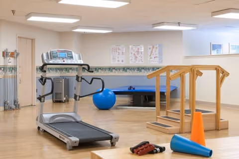 Indoor rehabilitation room with a treadmill, blue exercise ball, wooden stairs with handrails, orange cone, and exercise equipment on a wooden floor. The walls have anatomical charts and a decorative border.