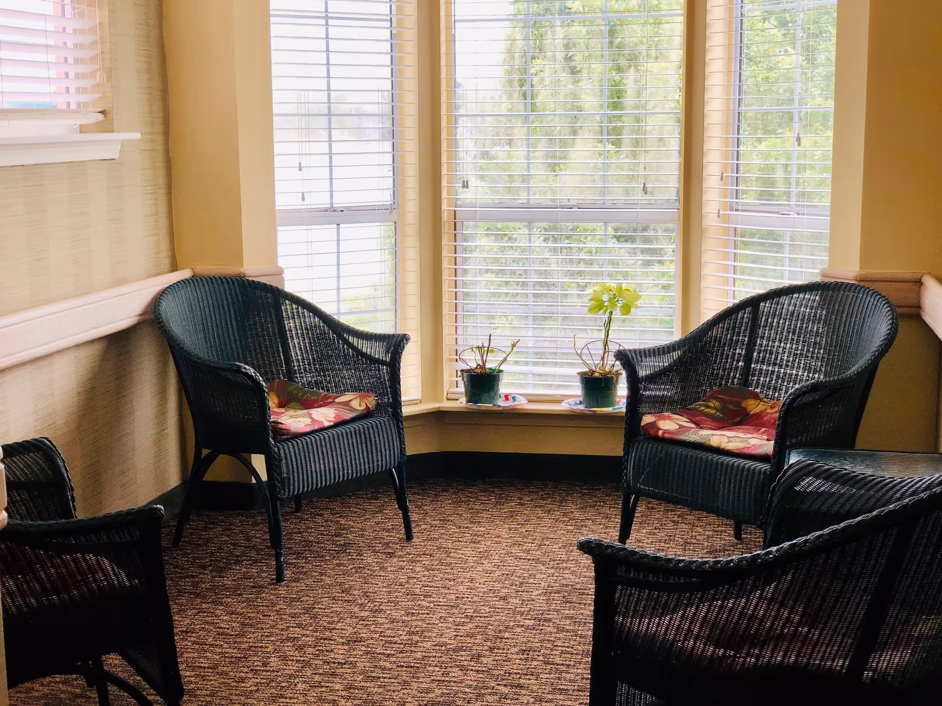 A cozy seating area with four black wicker chairs with floral cushions arranged around a corner window with white blinds. Two small potted plants are placed on the window sill, and the room has beige walls and a brown carpeted floor.
