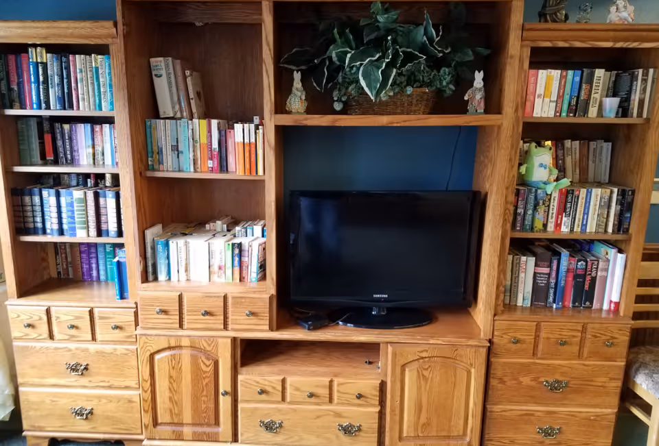 Wooden entertainment center with multiple shelves filled with books, a flat-screen Samsung TV in the center, decorative plants on the top shelf, and small decorative figurines on either side of the plant.