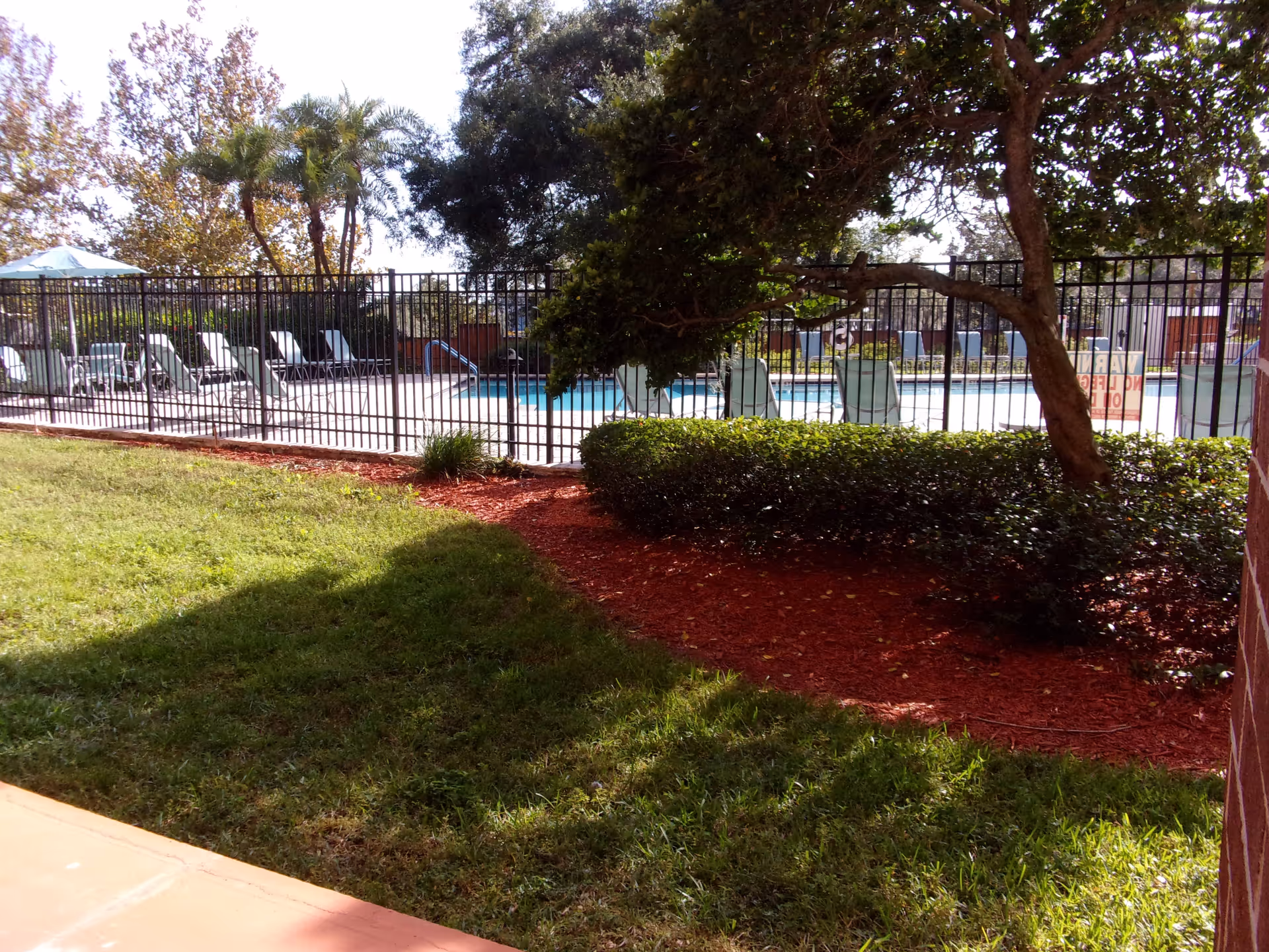 Outdoor view of a fenced swimming pool area with several lounge chairs and an umbrella. The foreground shows a grassy lawn with a mulched garden bed and a tree providing shade.