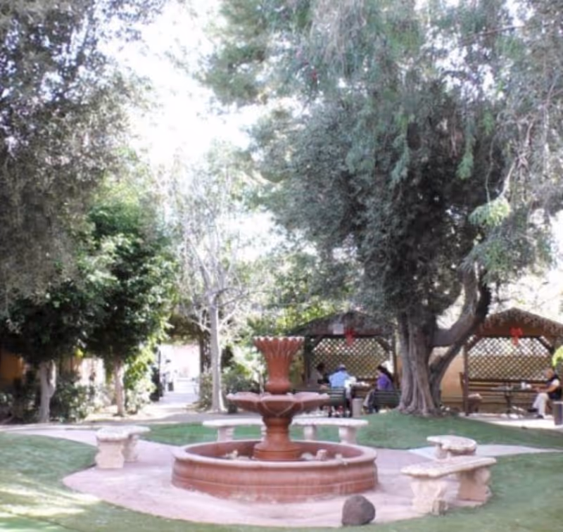 A courtyard with a central fountain, trees, and shaded seating areas.