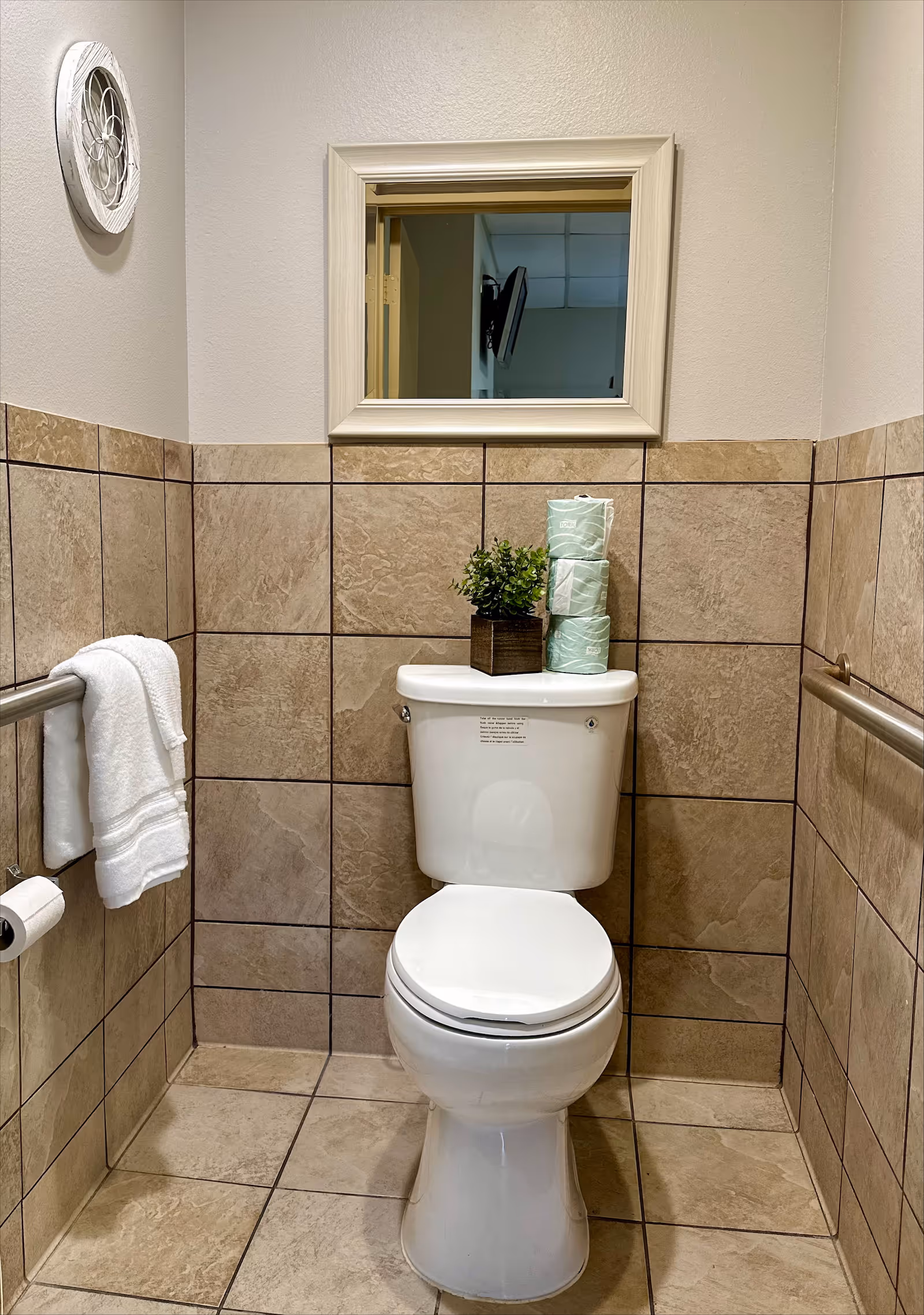 Tiled accessible restroom with a white toilet, grab bars, a towel and toilet paper, a small mirror, and a plant on the tank.