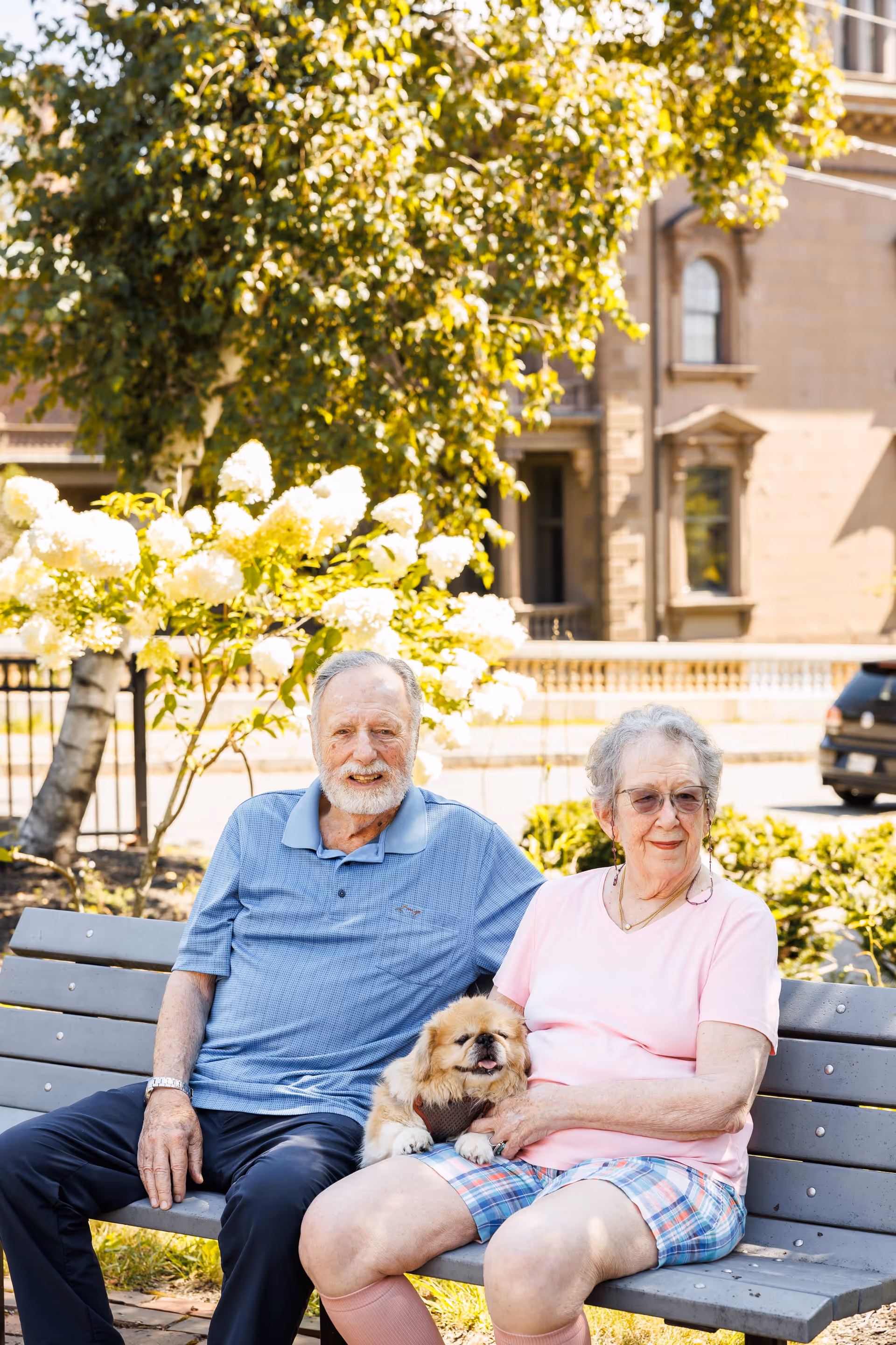 An elderly man and woman sitting on a park bench outdoors with a small dog on the woman's lap. They are surrounded by greenery and white flowers, with a building and a parked car visible in the background.
