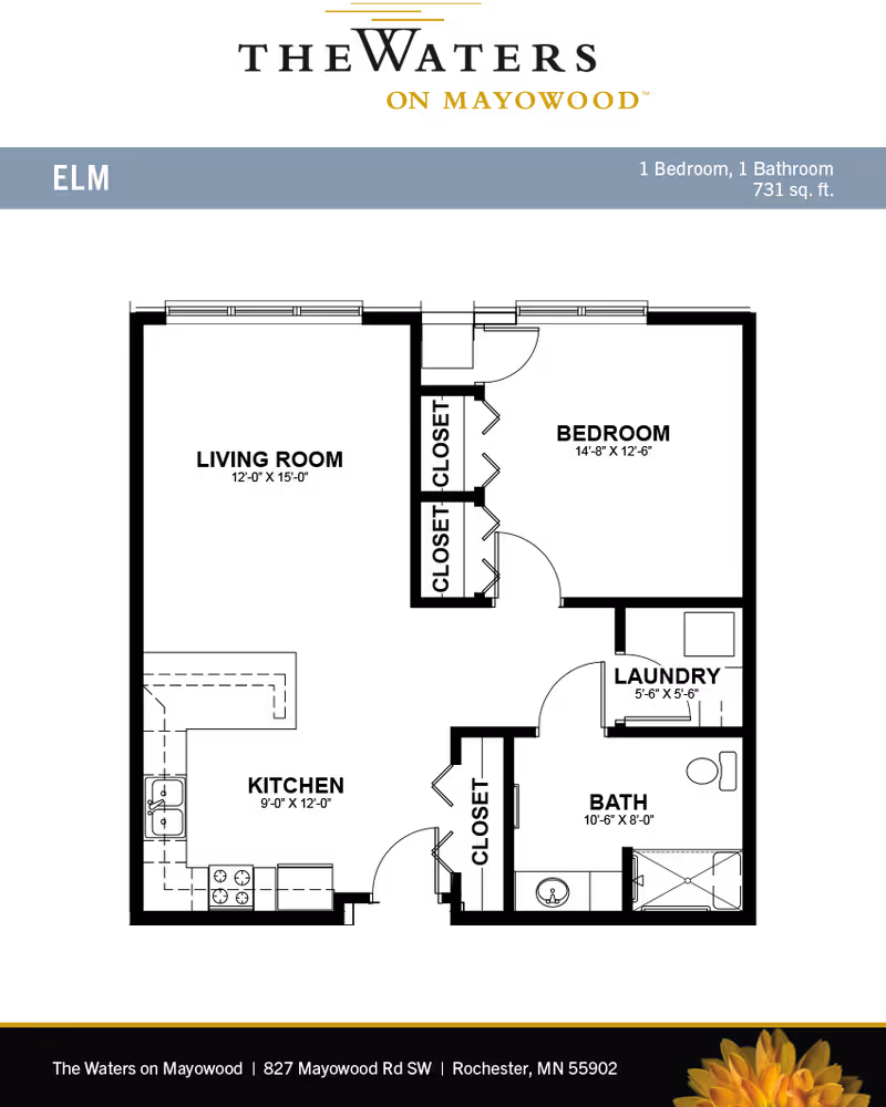 Floor plan of Elm apartment at The Waters on Mayowood showing 1 bedroom, 1 bathroom, kitchen, dining area, living room, laundry, and multiple closets, totaling 731 square feet.