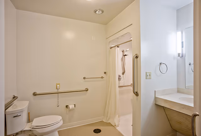 Accessible bathroom with a toilet, multiple grab bars, a shower with curtain and handheld showerhead, and a sink vanity.