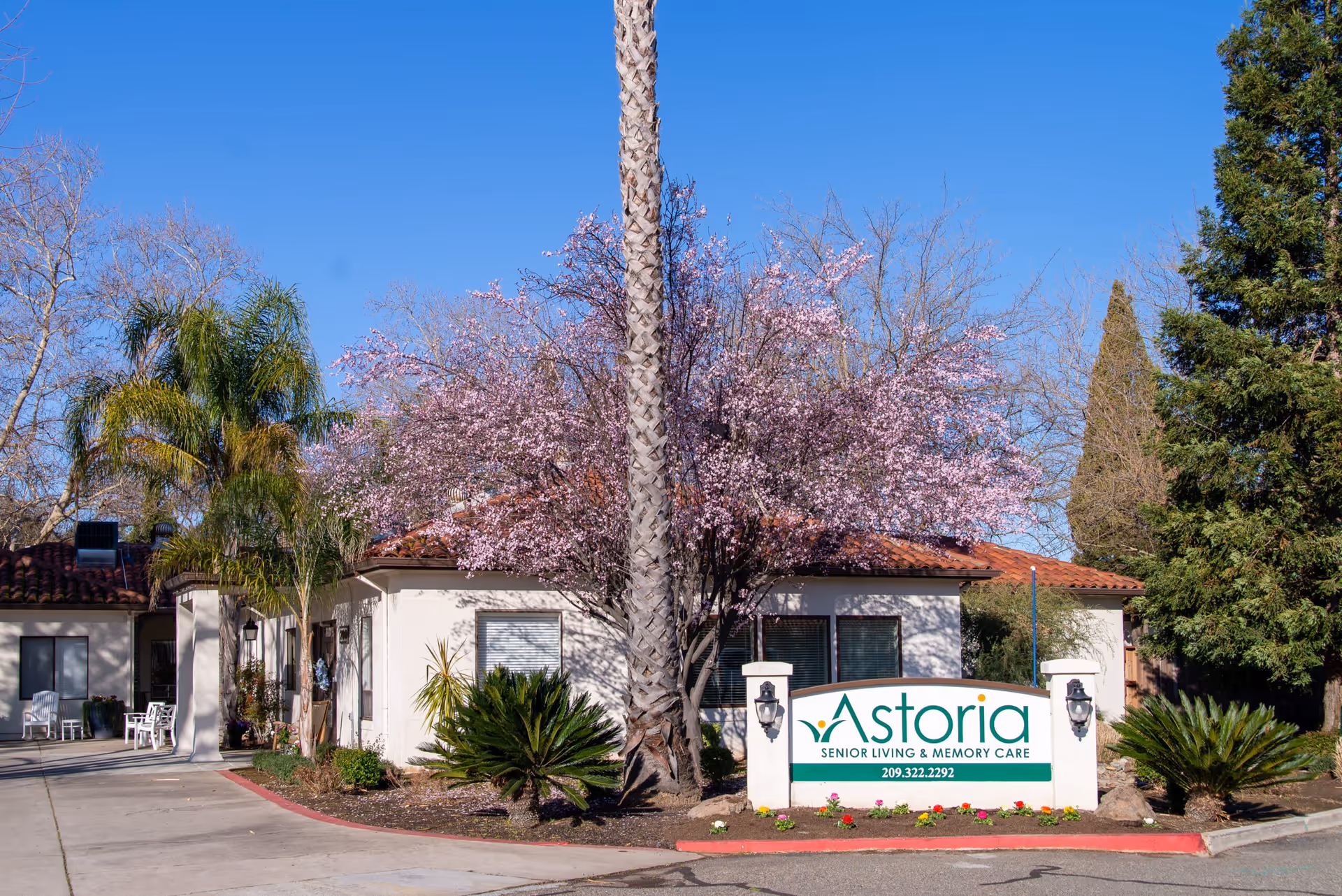 Exterior view of Astoria Senior Living facility with a white building, blooming pink trees, palm trees, and a clear blue sky. A sign in front reads 'Astoria Senior Living & Memory Care' with a phone number below it.