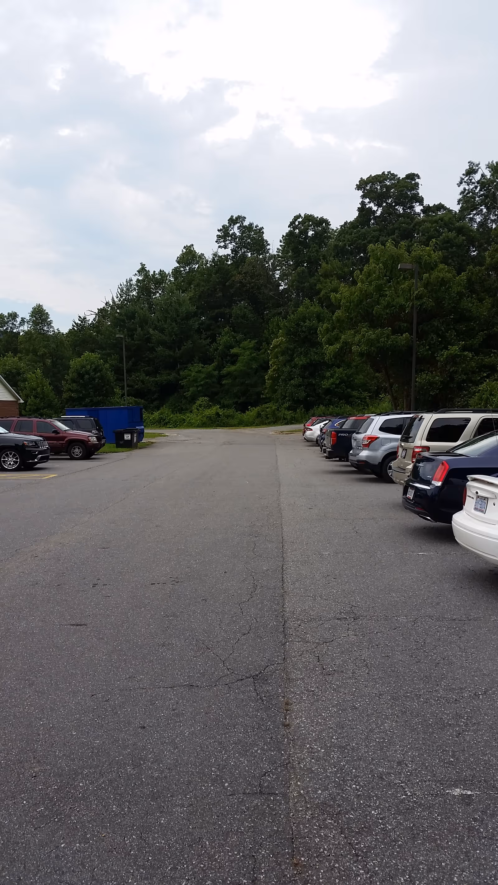 Parking lot lined with cars, dense trees beyond, under a cloudy sky.