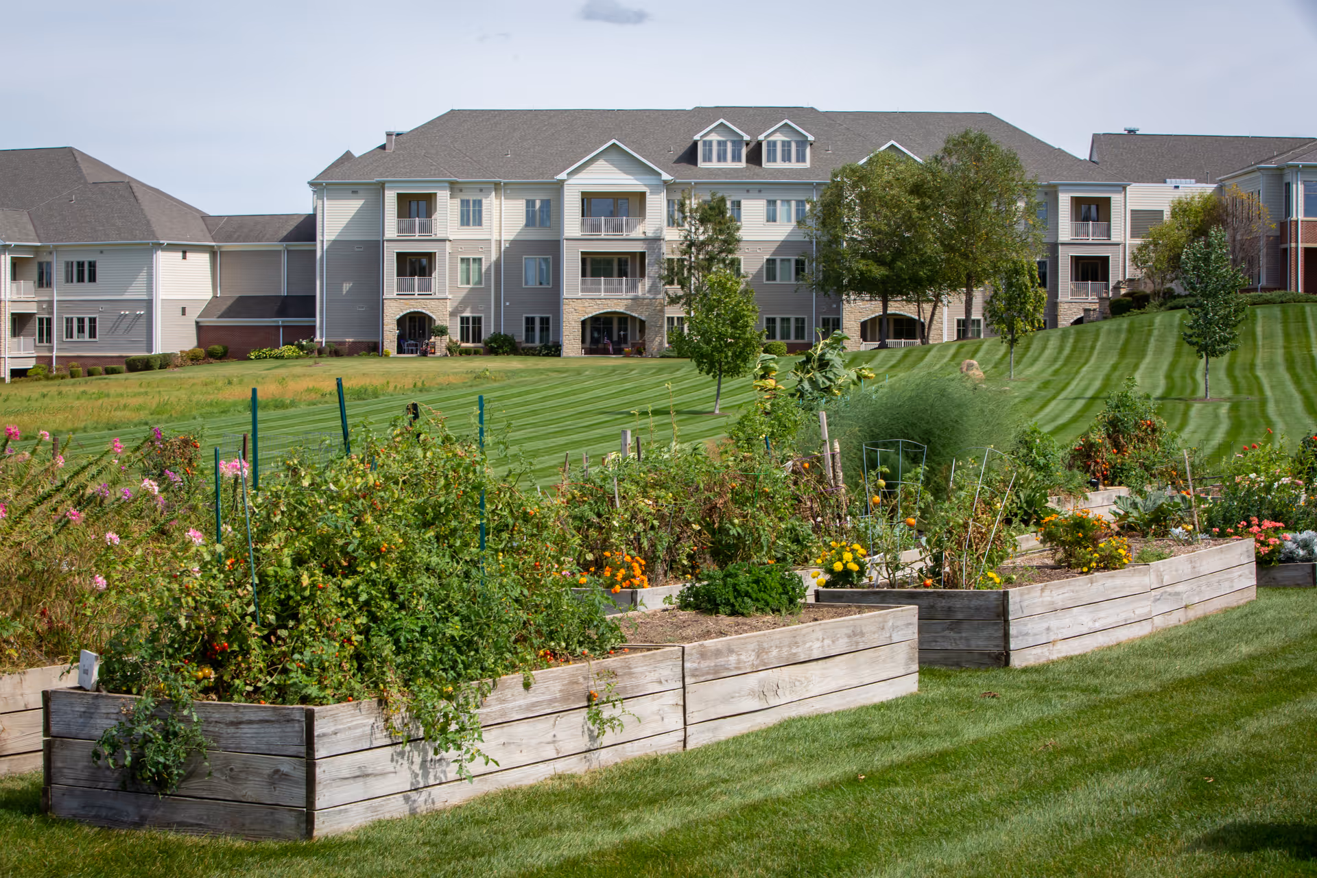 Raised garden beds with various plants and flowers in front of a large multi-story residential building with balconies and a well-maintained lawn with trees.
