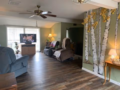 A cozy living room with wooden flooring, a ceiling fan, and a large window with vertical blinds letting in natural light. The room features a TV on a wooden stand, two recliner chairs with blankets, a small side table with a lamp, and a decorative wall with birch tree decals.