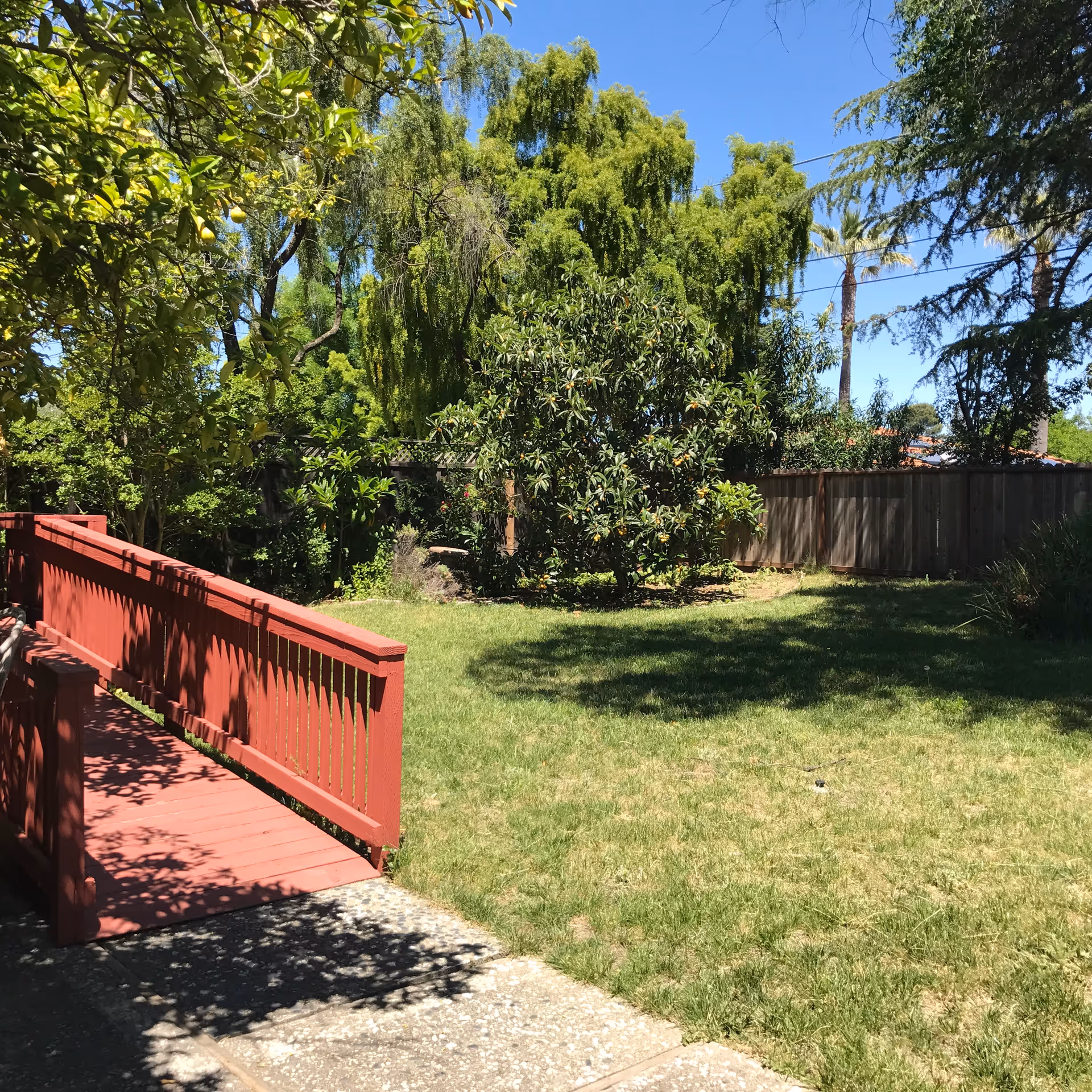 A sunny outdoor garden area with green grass, various trees, and a wooden red ramp leading from a paved walkway. A wooden fence encloses the garden, and the sky is clear and blue.