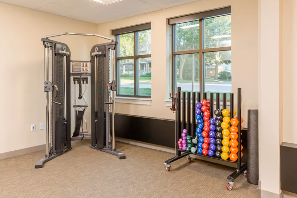 A small fitness room with a dual pulley weight machine and a rack of colorful dumbbells arranged by size and color. Two large windows let in natural light and show a view of trees and houses outside.