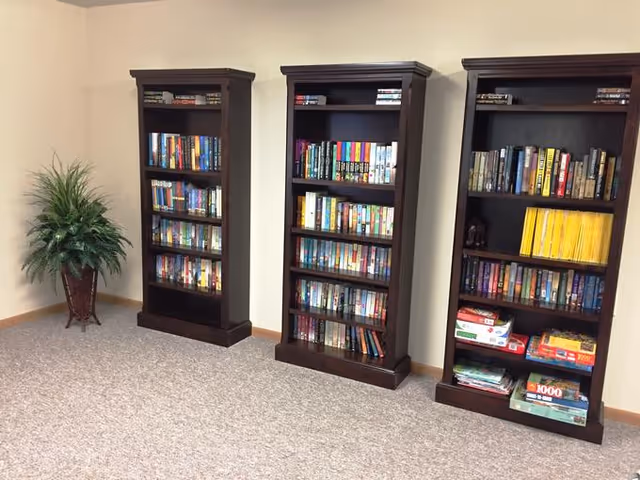 Three dark wooden bookshelves filled with books and board games against a beige wall, with a green potted plant in a decorative stand to the left on a carpeted floor.