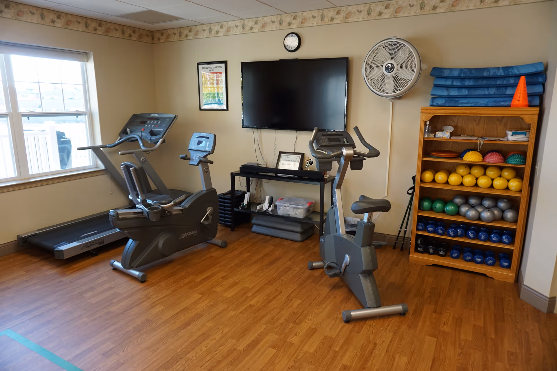A small exercise room with a treadmill, a recumbent bike, and an upright stationary bike. There is a wooden shelf filled with various exercise balls and weights, and a large fan mounted on the wall. A flat-screen TV is mounted on the wall above a small black shelf holding some equipment and a framed certificate. The room has wood flooring and a window letting in natural light.