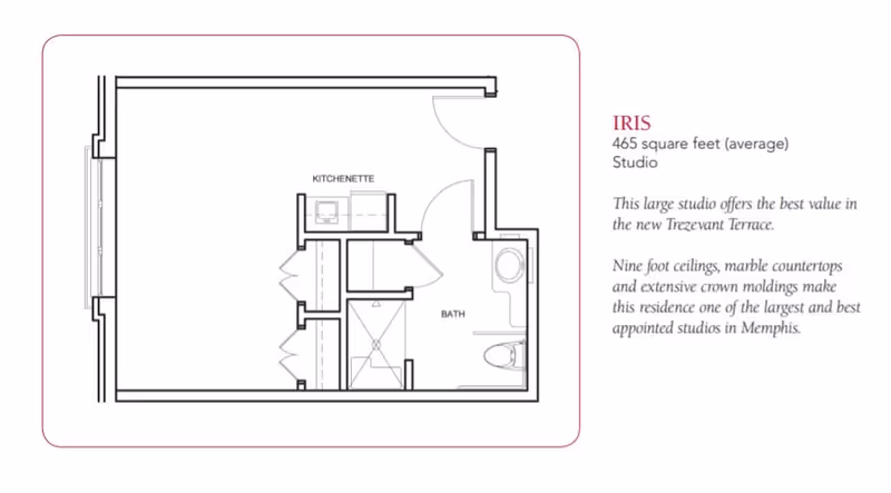 Floor plan of the Iris studio apartment at Trezevant, showing a kitchenette, bath, and main living area with labeled rooms and dimensions.