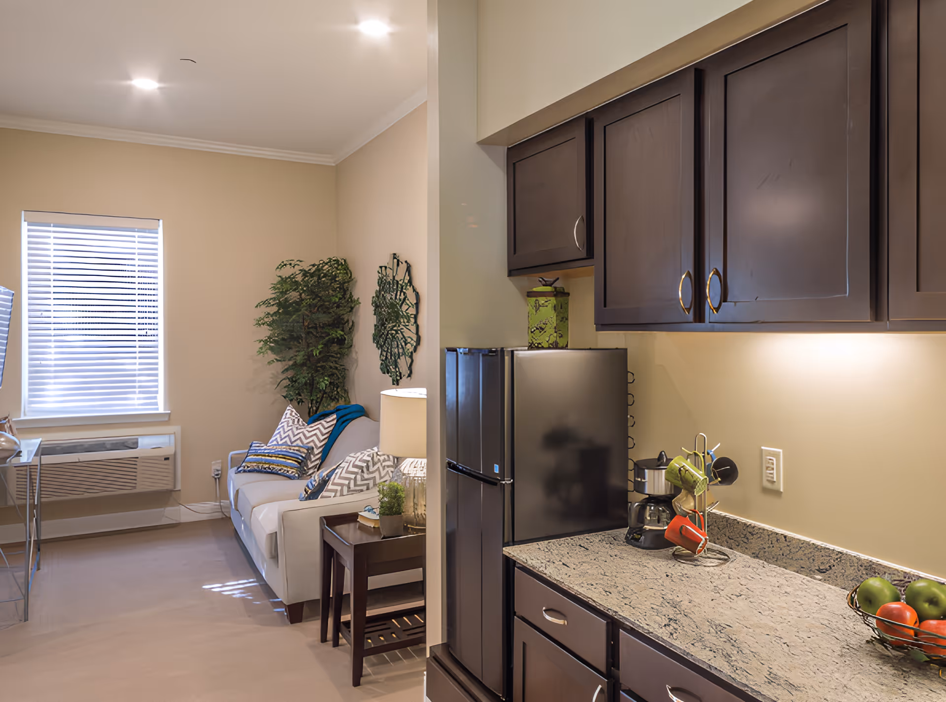Studio-style interior showing a small kitchenette with dark cabinets and a countertop next to a living area with a couch, window, and potted plant.