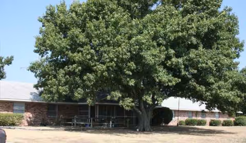 Front view of Leonard Manor with a large tree and brick exterior.