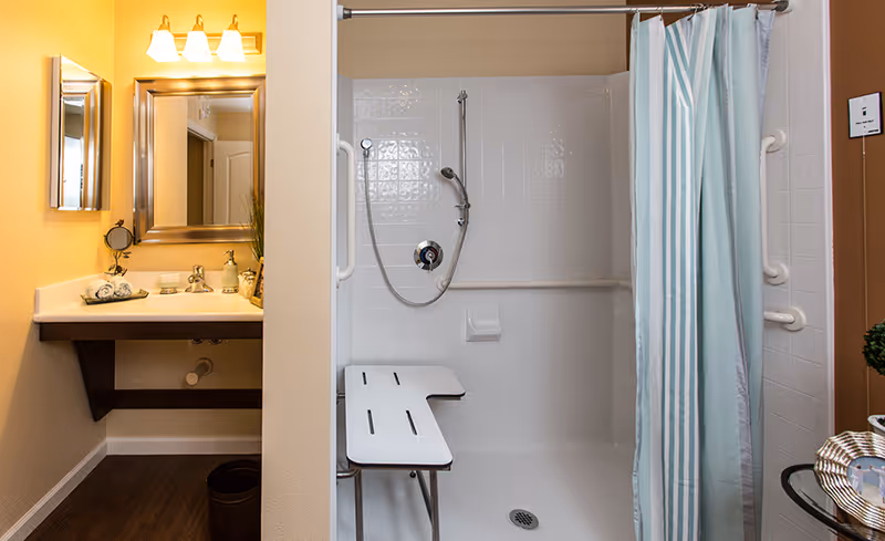 A bathroom with a white shower area featuring a foldable shower seat, grab bars, and a handheld showerhead. To the left, there is a vanity with a sink, a large mirror, and a three-light fixture above it. The walls are painted in warm tones and the floor has dark wood-like flooring.