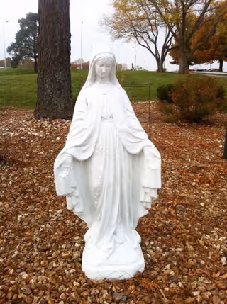 A white statue of the Virgin Mary standing outdoors on a bed of small rocks with trees and grass in the background.